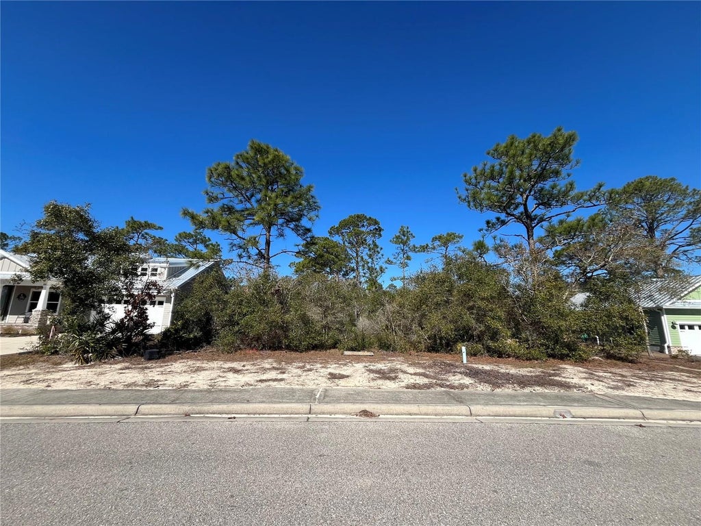 Photo of 394 Royal Tern Way, Carrabelle, FL 32322 (MLS # K4903925)