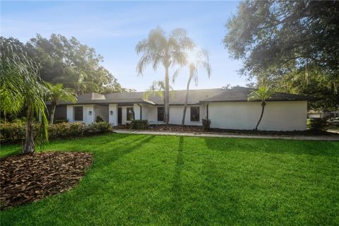 A home in TAMPA