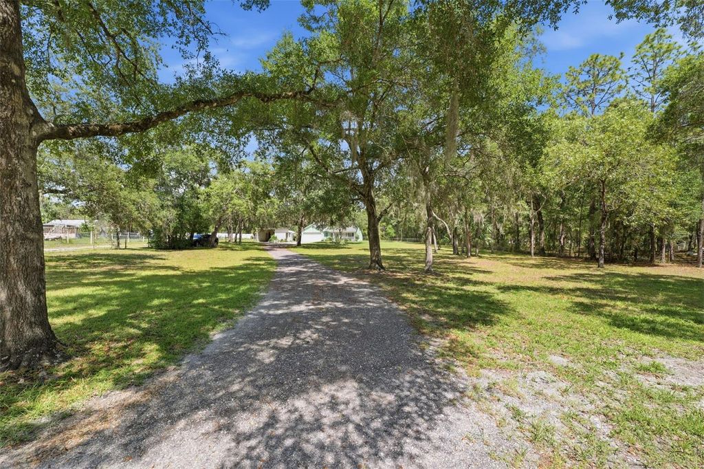 Photo of 7020 Alberta Street, Brooksville, FL 34604 (MLS # W7885941)