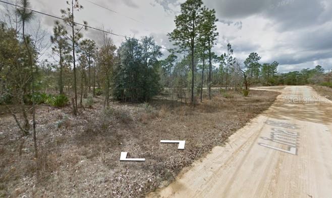 Photo of Lima St, Interlachen, FL 32148 (MLS # D6149418)
