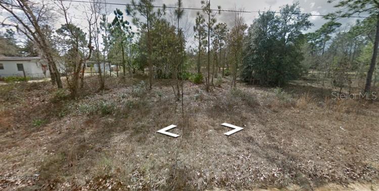 Photo of Lima St, Interlachen, FL 32148 (MLS # D6149418)