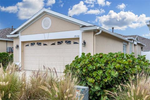 A home in LAND O LAKES