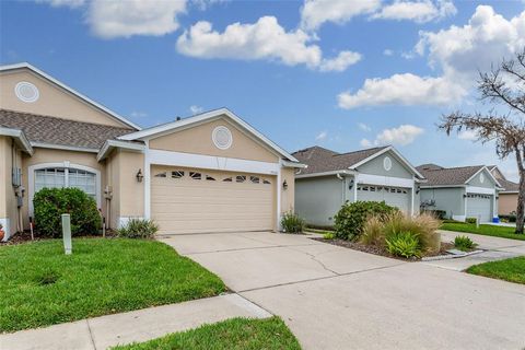 A home in LAND O LAKES