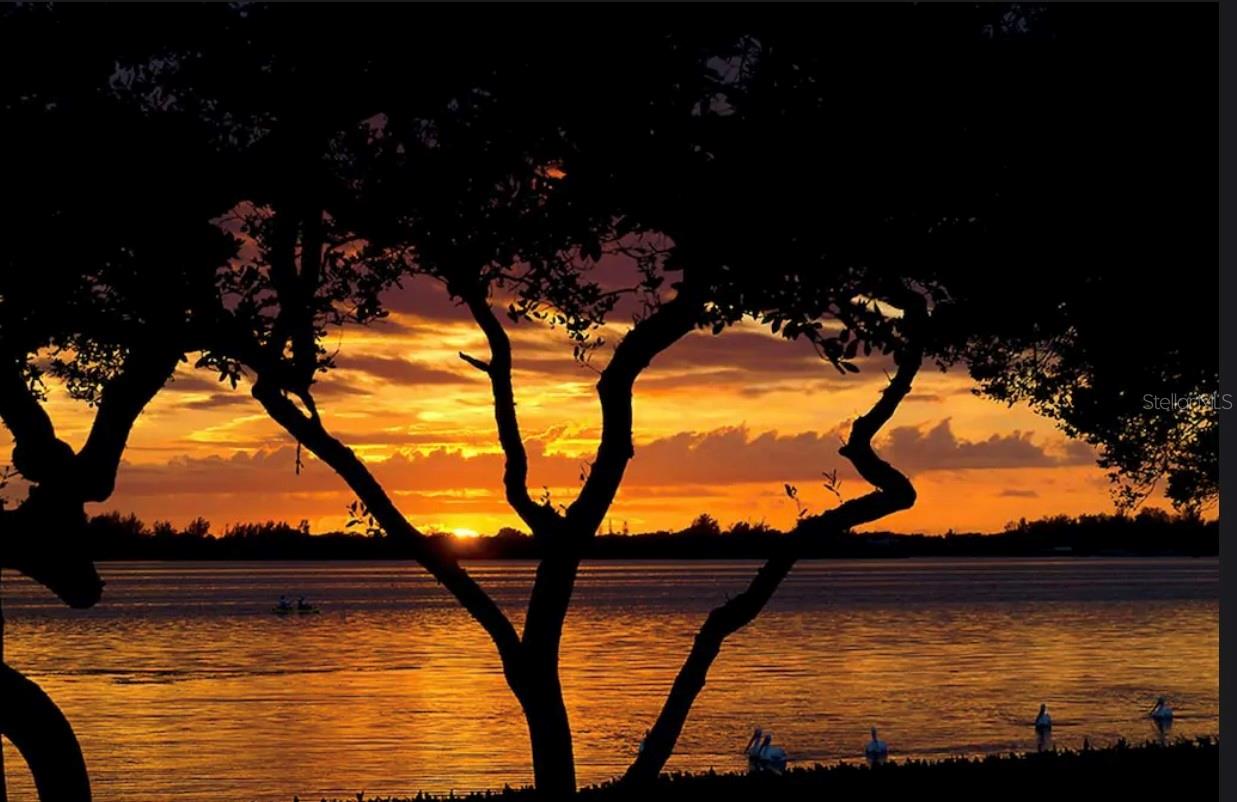 TIDY ISLAND PH II - Residential Lease