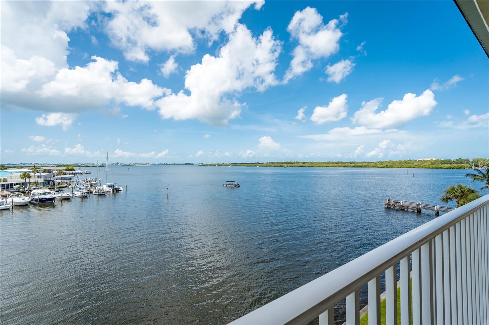 View SAINT PETERSBURG, FL 33709 condo