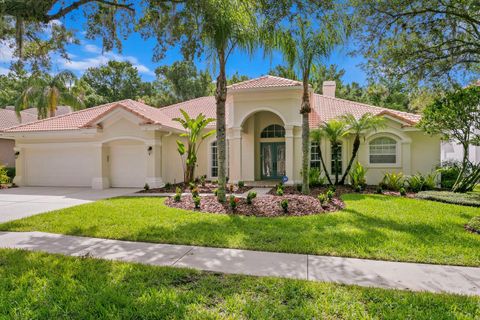 A home in TAMPA