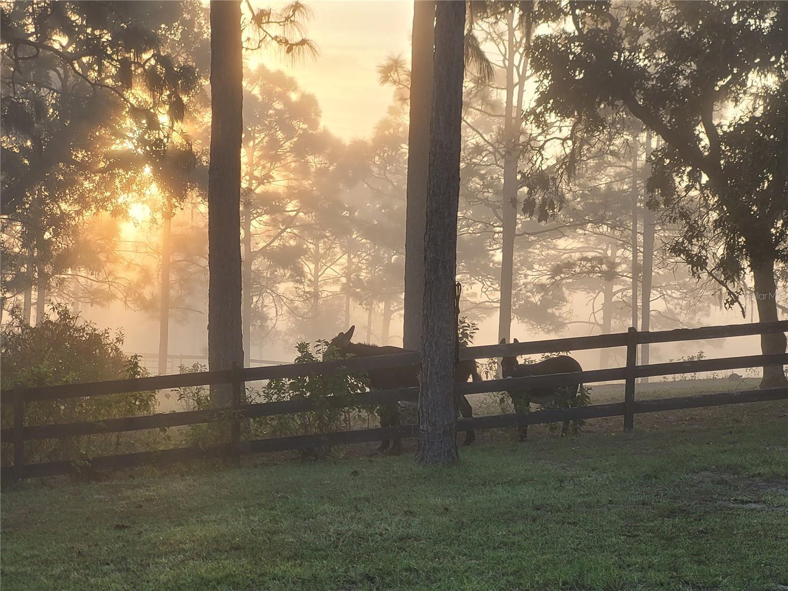TRIPLE CROWN FARMS 01 - Residential