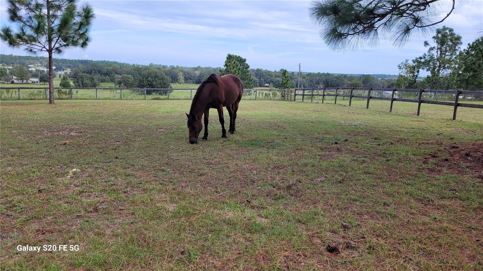 TRIPLE CROWN FARMS 01 - Residential