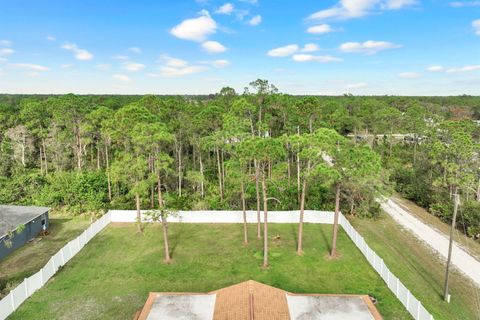 A home in PUNTA GORDA