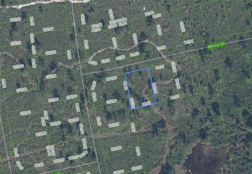 Great opportunity to invest in residential land in the growing community of Sebring. This parcel is located in an area experiencing steady development and new construction, making it ideal for future building or long-term land investment. Conveniently located near shopping, dining, schools, medical facilities, and outdoor recreation. As development continues throughout Highlands County and Sun N Lakes, opportunities to purchase land in expanding areas are becoming more limited.

Platted subdivision with ongoing development; some roads may be unpaved. Buyers are encouraged to verify access and exact location prior to visiting the property.