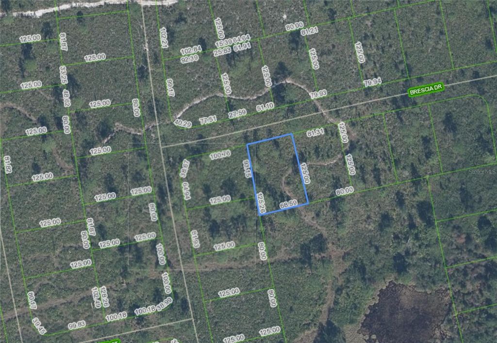 Photo of 7448 Bresica Drive, Sebring, FL 33872 (MLS # P4938553)