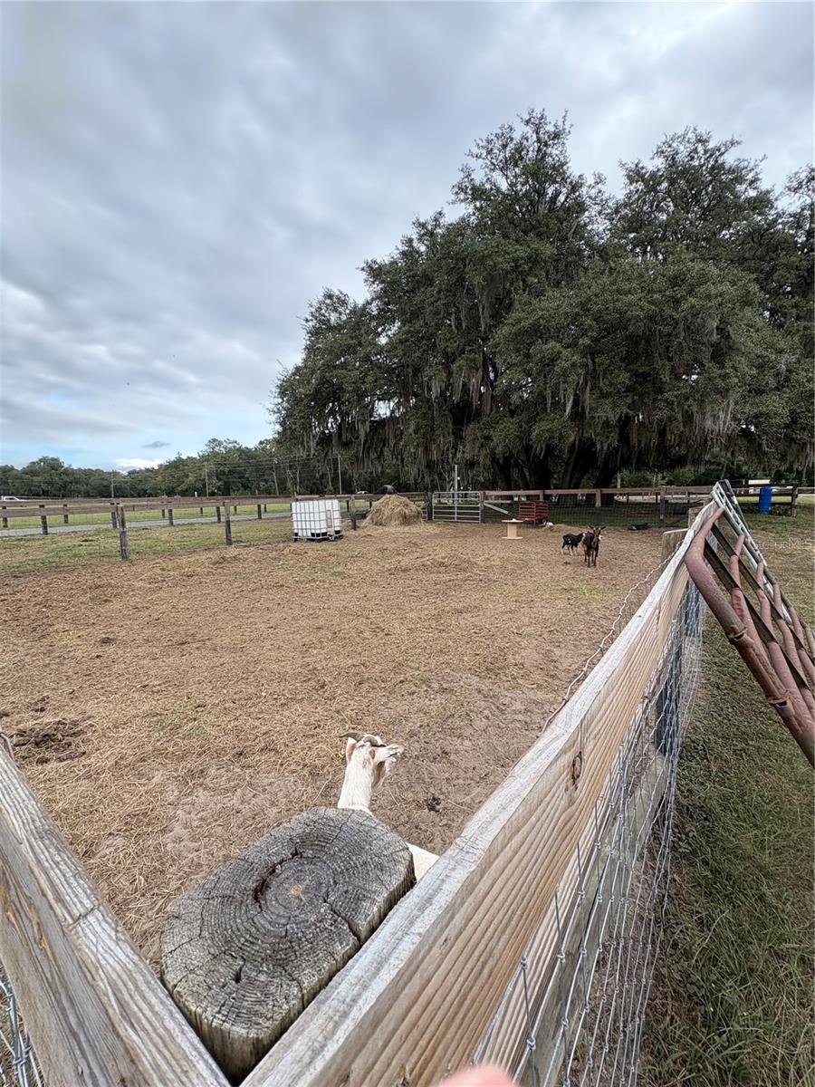 NON SUB - Residential