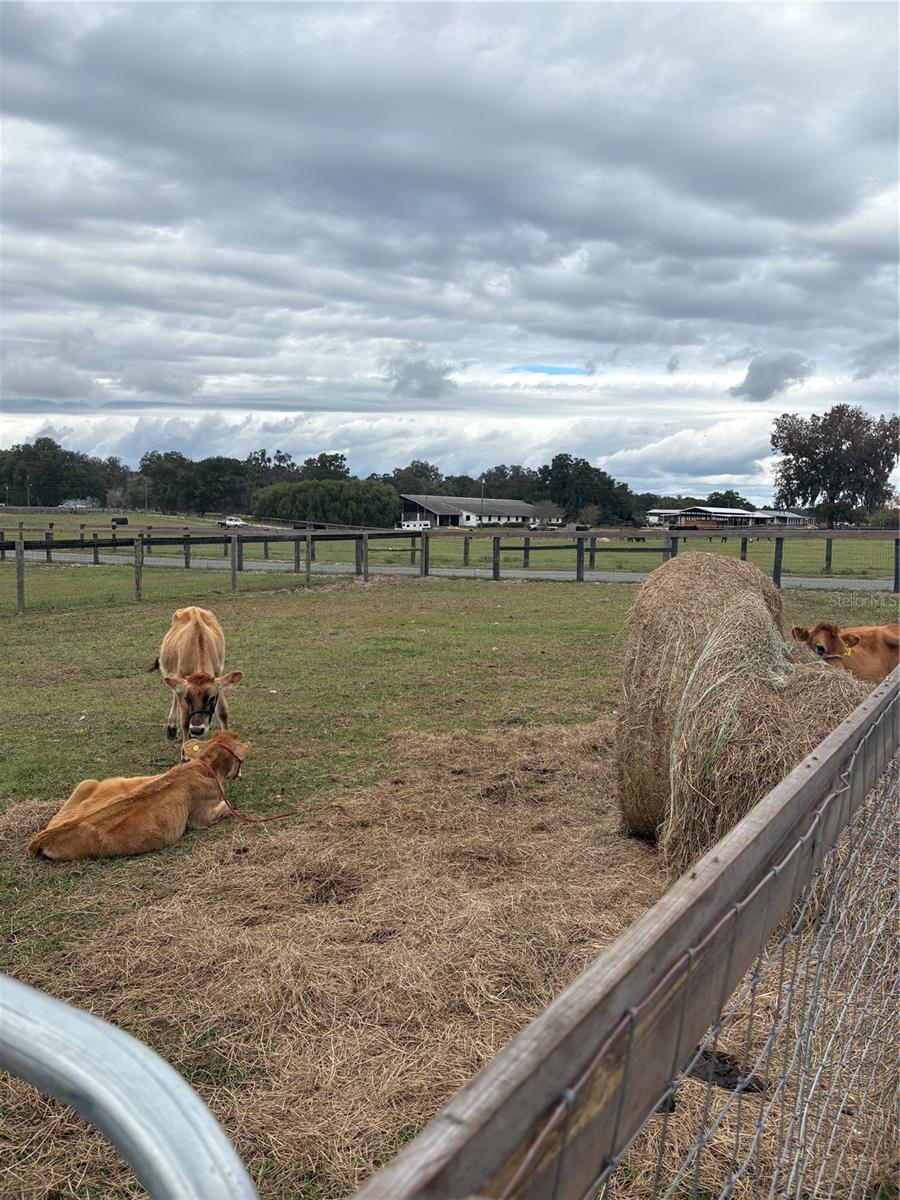 NON SUB - Residential