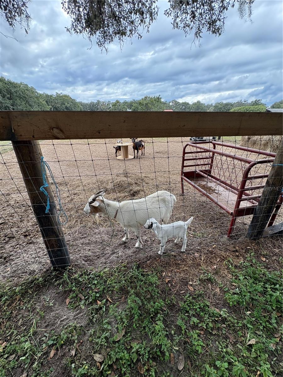 NON SUB - Residential