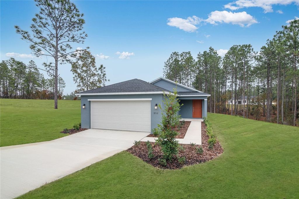Photo of 8930 SW 128th Place, Ocala, FL 34473 (MLS # O6402843)