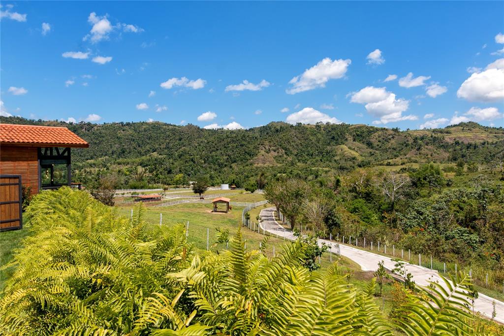 SAN LORENZO - Farm