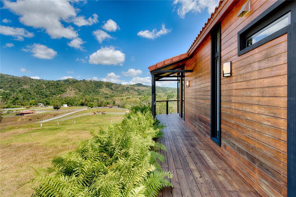 SAN LORENZO - Farm