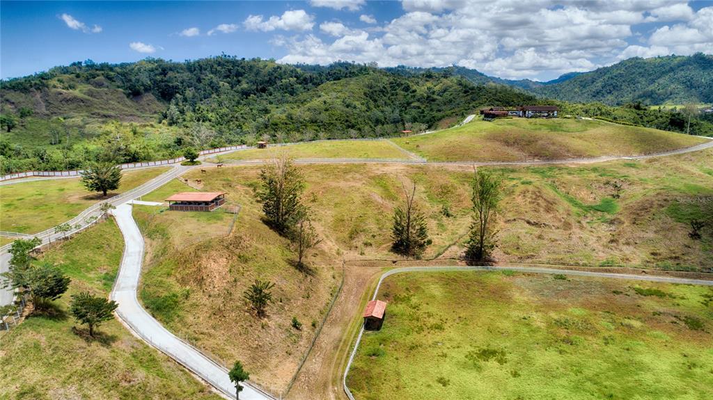SAN LORENZO - Farm