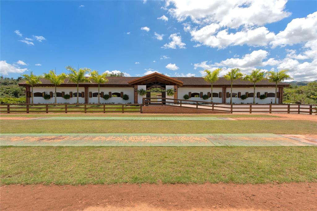 SAN LORENZO - Farm