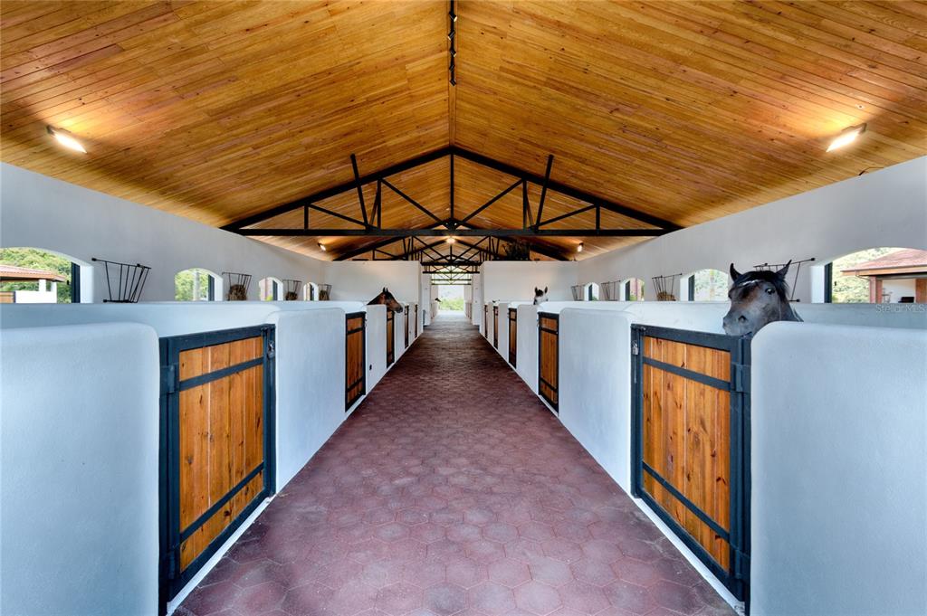 SAN LORENZO - Farm