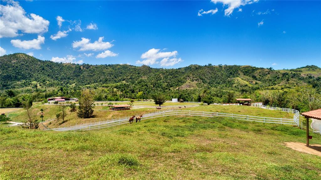 SAN LORENZO - Farm