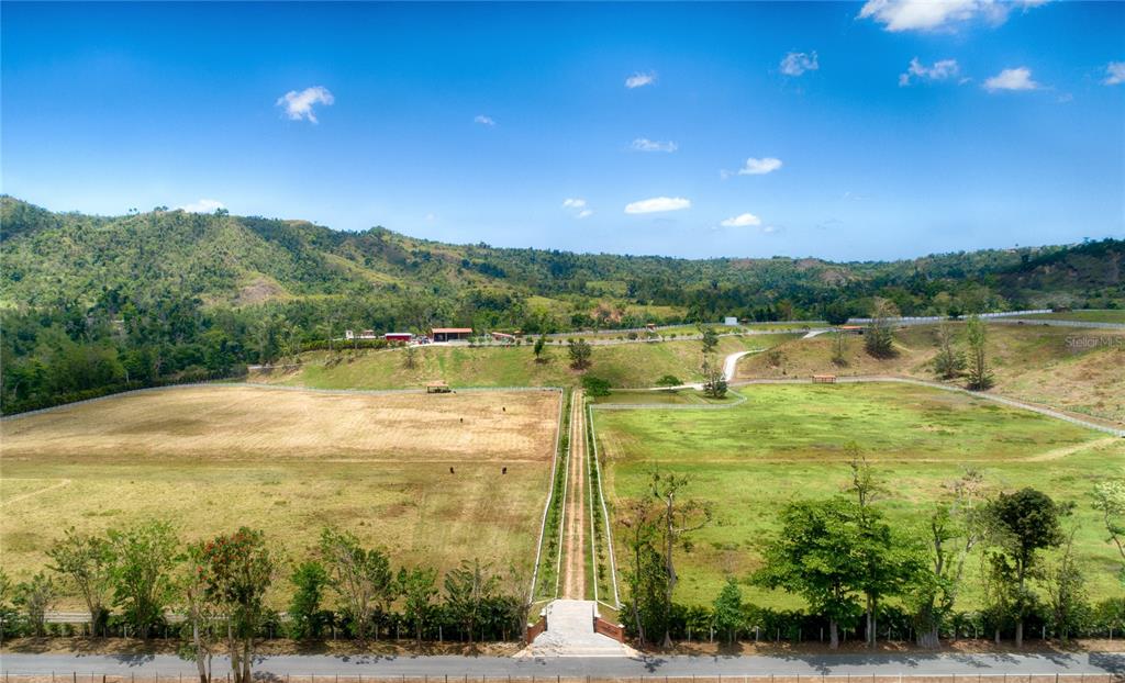 SAN LORENZO - Farm