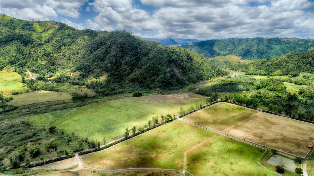 SAN LORENZO - Farm