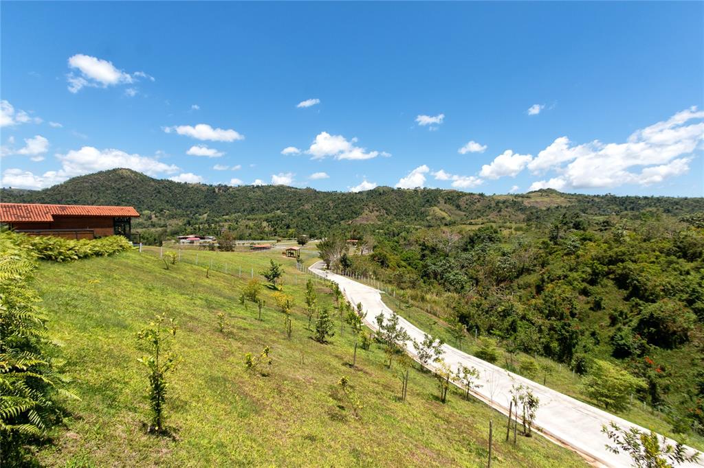 SAN LORENZO - Farm