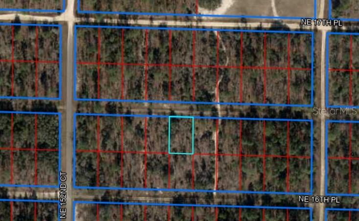 Welcome to sunny North Central Florida! This 0.23-acre lot in the Williston Highlands offers a level and dry homesite with easy access to paved roads and essential amenities. Enjoy mild winters, star-filled skies, and the laid-back pace of small-town living. With no flood zone and no deed restrictions.
