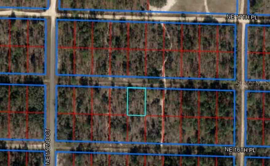 Welcome to sunny North Central Florida! This 0.23-acre lot in the Williston Highlands offers a level and dry homesite with easy access to paved roads and essential amenities. Enjoy mild winters, star-filled skies, and the laid-back pace of small-town living. With no flood zone and no deed restrictions.