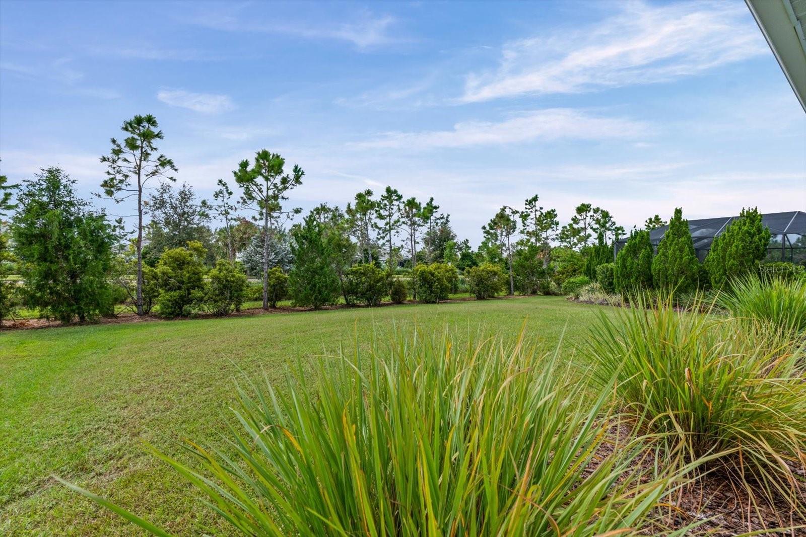 GRAND PALM - Residential