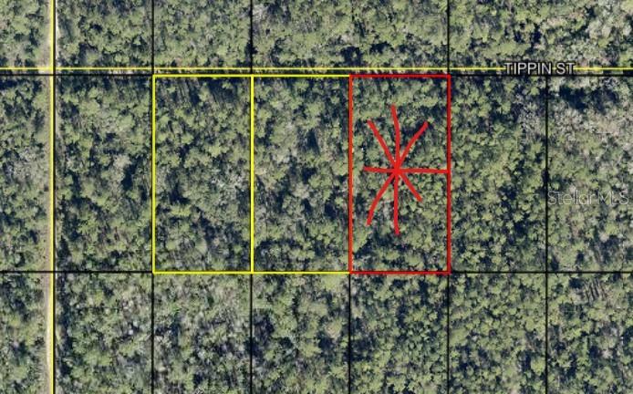 Photo of 603 Tippin St, Hastings, FL 32145 (MLS # C7530659)