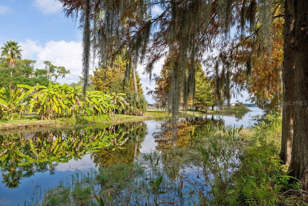 DAVIS SHORES - Residential