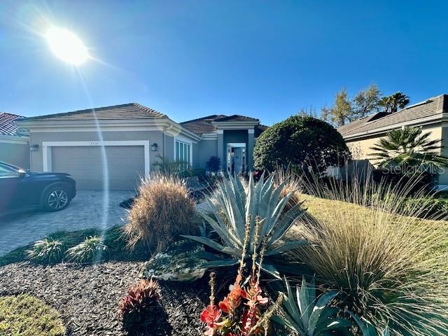 ROSEDALE 5 - Residential Lease