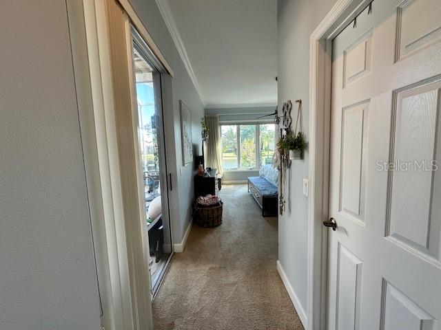 ROSEDALE 5 - Residential Lease