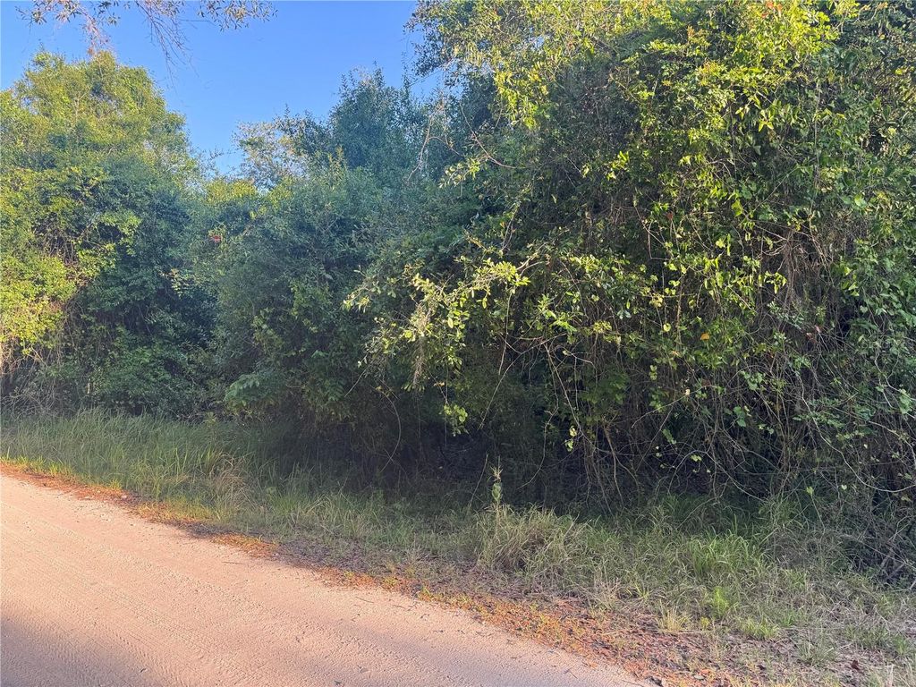 Photo of 1330 NE River Wood Road, Arcadia, FL 34266 (MLS # C7508109)