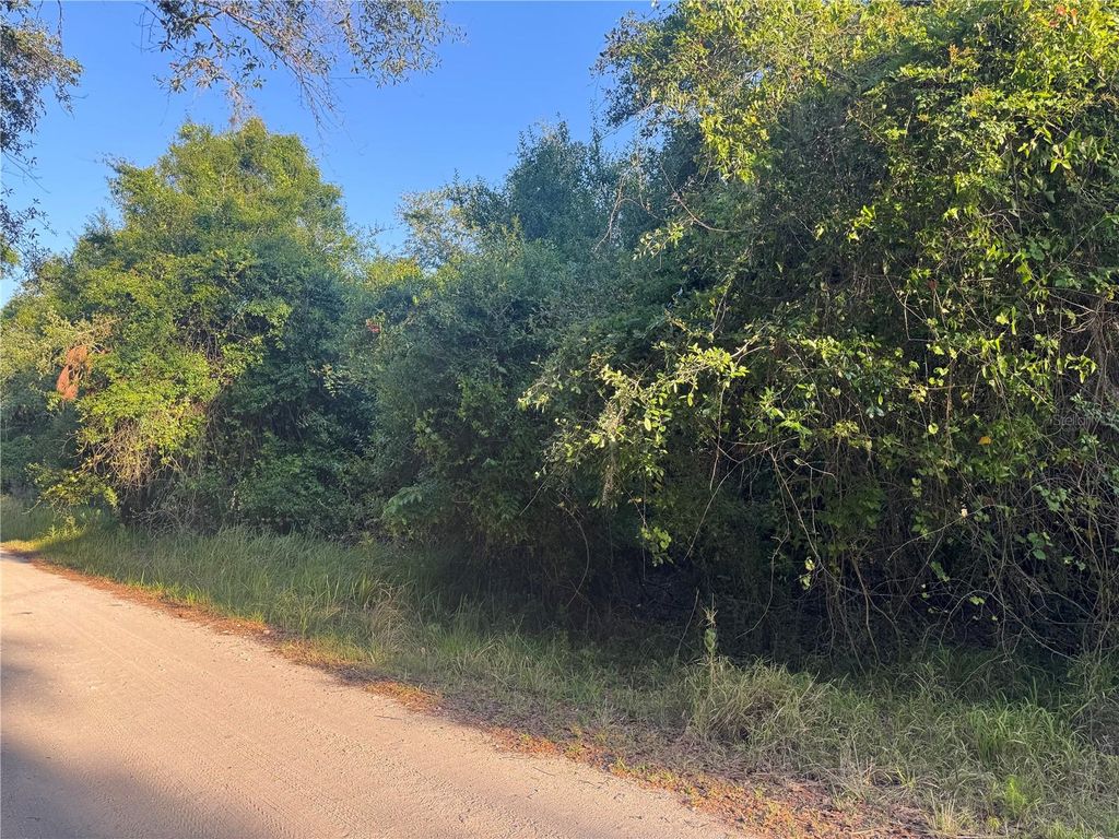 Photo of 1330 NE River Wood Road, Arcadia, FL 34266 (MLS # C7508109)