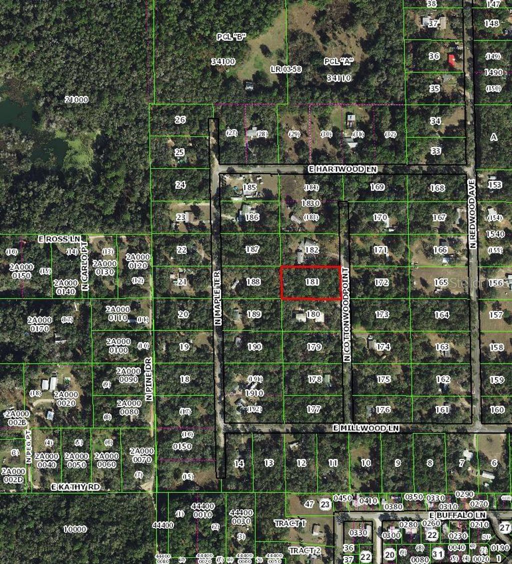 Photo of 4904 N Cottonwood Point, Hernando, FL 34442 (MLS # TB8501307)