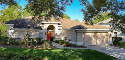 Photo of 9126 Rockrose Drive, Tampa, FL 33647 (MLS # TB8486926)