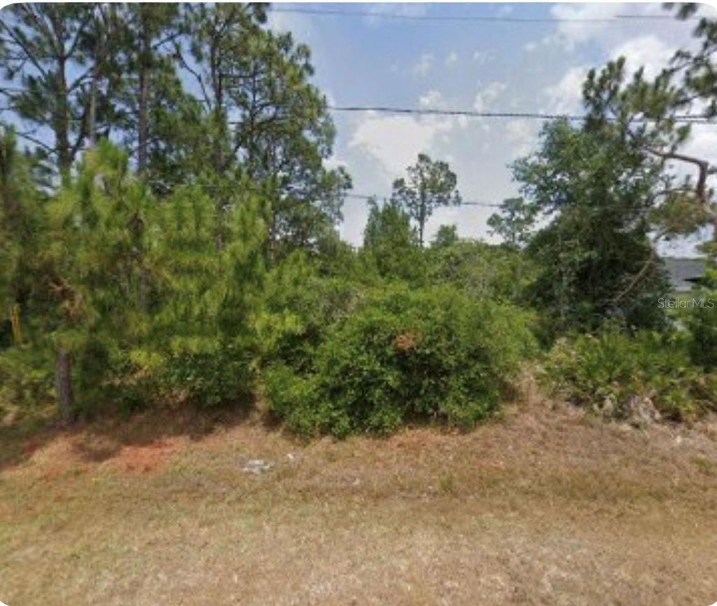 Photo of 4211 Durango Avenue, Sebring, FL 33872 (MLS # O6401118)