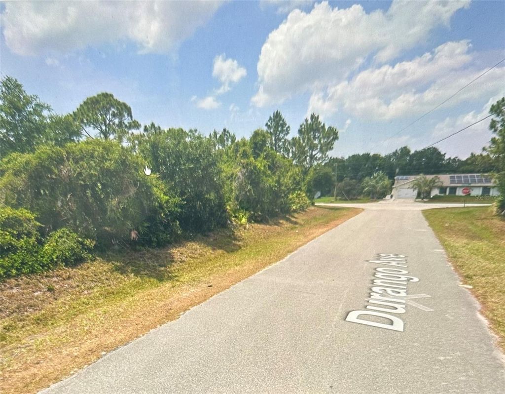 Photo of 4211 Durango Avenue, Sebring, FL 33872 (MLS # O6401118)