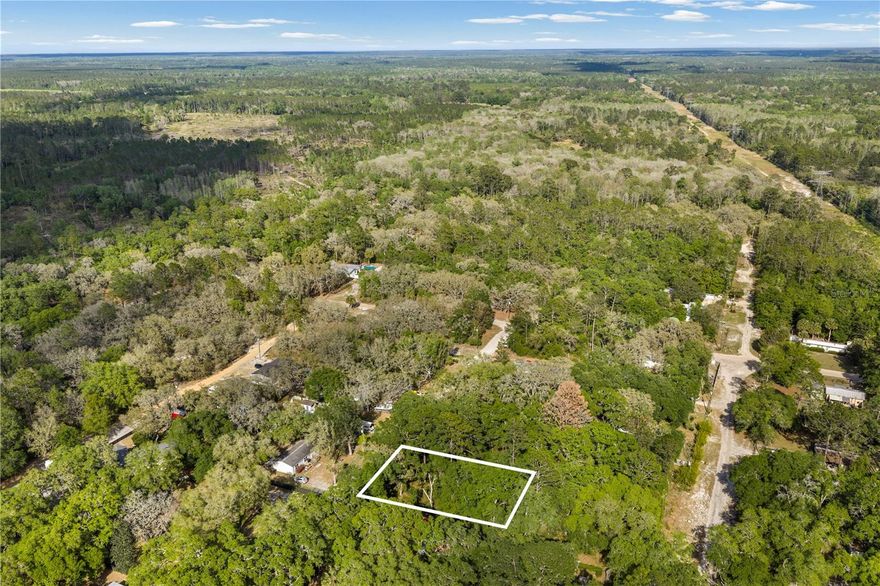 .22-acre vacant lot located just off the main path, offering added privacy while remaining close to everyday conveniences. Approximately 10 minutes to Fort McCoy with access to grocery, medical, pharmacy, gas, and dining options. Short drive to Silver Springs and Ocala for expanded shopping, restaurants, and entertainment.

Nearby outdoor attractions include the Ocklawaha River, Ocala National Forest, and multiple natural springs such as Salt Springs, Silver Glen Springs, and Juniper Springs. Area features hiking trails, kayaking/canoeing, horseback riding, and off-road vehicle trails.

Gainesville is approximately 50 minutes away. Ideal for new homesite or investment.