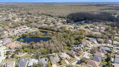 A home in LAND O LAKES