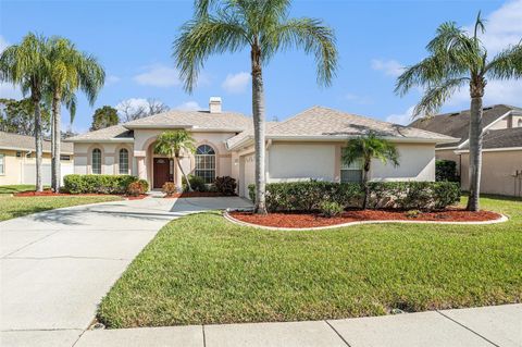 A home in LAND O LAKES