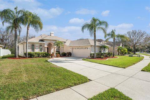 A home in LAND O LAKES