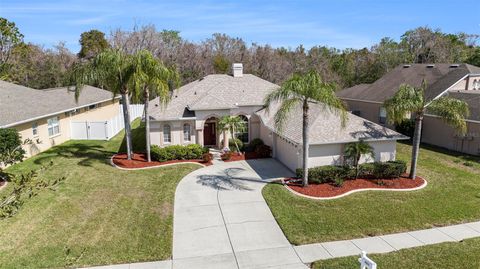 A home in LAND O LAKES