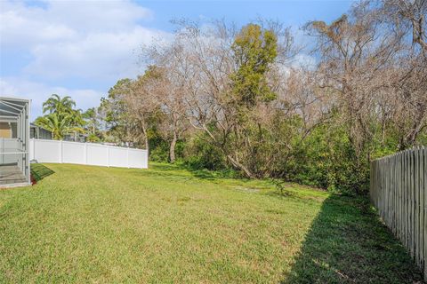 A home in LAND O LAKES