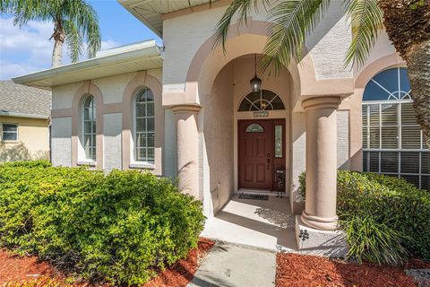 A home in LAND O LAKES