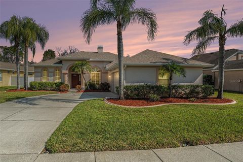 A home in LAND O LAKES