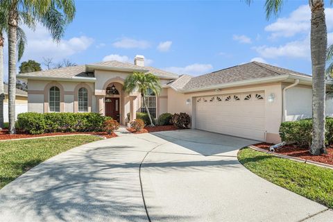 A home in LAND O LAKES